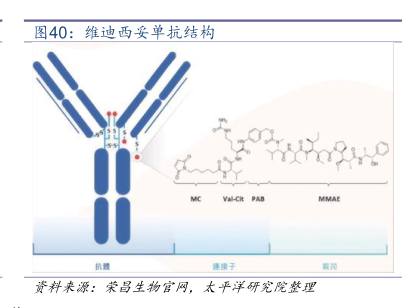 维迪西妥单抗结构 - 行业研究数据 - 小牛行研