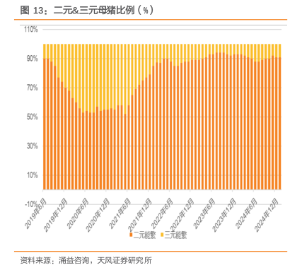 不同胎次对母猪繁殖性能的影响 2025年03月 行业研究数据 小牛行研