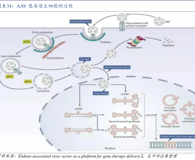pd-1990-2019-2024-08