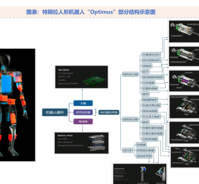 特斯拉人形机器人“Optimus”部分结构示意图 - 2025年02月 - 行业研究数据 - 小牛行研